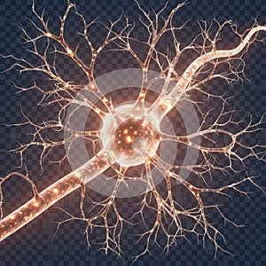 Illuminated neuron cell