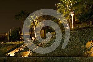 Illuminated palm trees