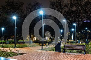 Illuminated park pathway at night with benches and trees