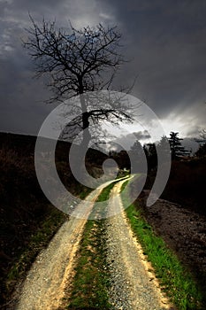 Illuminated path
