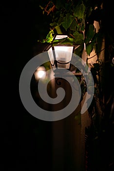 Illuminated Pathway Lanterns