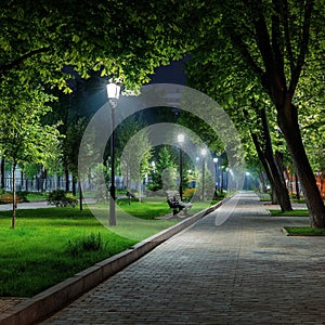 Illuminated pathway through park at night with benches and trees