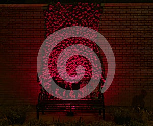 The illuminated Poppy Rememberance Wall at the Royal British Legion in the County Town of Forfar