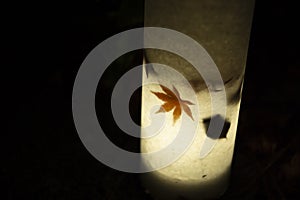 An illuminated red leaves in the light at the traditional garden at night in autumn