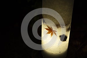 An illuminated red leaves in the light at the traditional garden at night in autumn