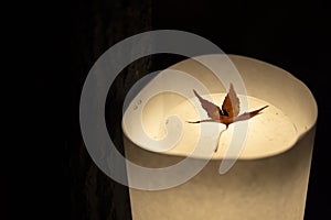 An illuminated red leaves in the light at the traditional garden at night in autumn