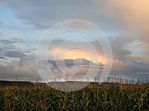 Illuminated storm clouds over FingerLakes corn crop field