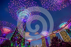 Illuminated Supertrees in Gardens by the Bay at night, Singapore photo