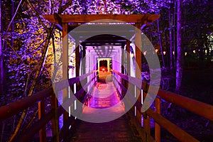 Illuminated Wooden Footbridge and Forest at Night