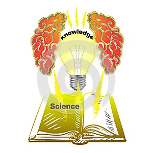 Illuminates ideas beautiful 3d bulb conveys knowledge to brain through books