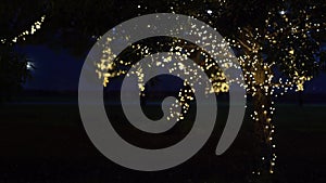 Illumination festive lights in the garden with electric garlands, warm light bulbs glow with a round bokeh in the