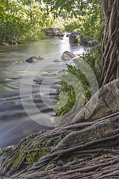 Fresh Water River Showing calmness Location at Central Java Indonesia