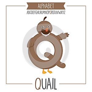 Illustrated Alphabet Letter Q and Quail