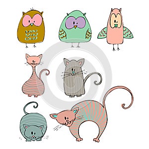 Illustrated cats and owls