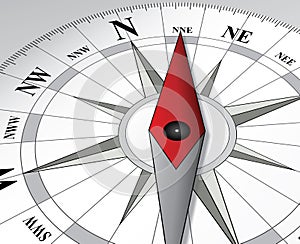 Illustrated compass dial