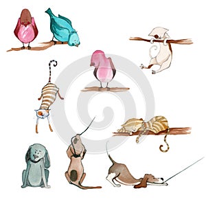 Illustrated cute animals