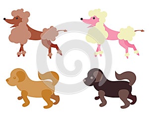 Illustrated dogs photo