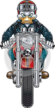 Illustrated duck on motorcycle