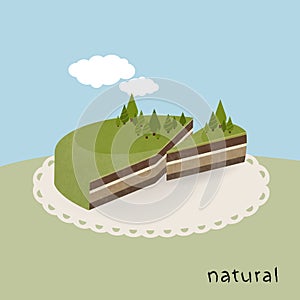 Illustrated Earth cake - natural pie.