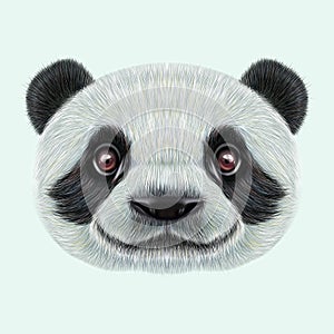 Illustrated face of Panda.