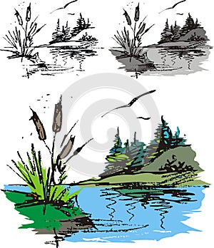 Illustrated fishpond photo