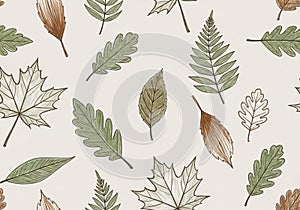 Illustrated pattern of various leaves on a light background. The