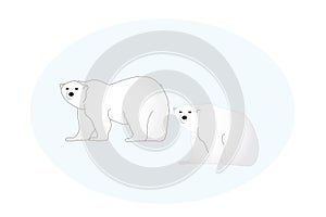 Illustrated polar bears