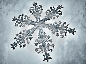 Illustrated snowflake