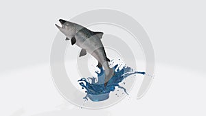 Illustration of a 3D rendering of a fish ci=oming out of the water on a white background