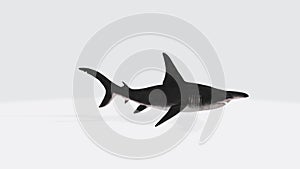Illustration of a 3D rendering of a scalloped hammerhead on a white background