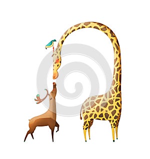 Illustration: The Amazing Deer and The Giraffe isolated on White Background.