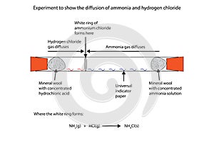 Illustration of ammonia and hydrogen chloride diffussion