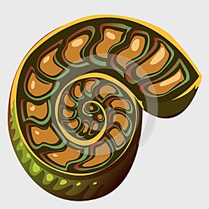 Illustration of the ancient Ammonite