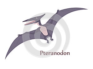 Illustration of an ancient flying pteranodon lizard
