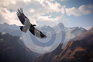 Illustration of an Andean Condor coasting in the mountains of South America