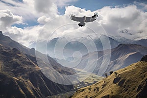 Illustration of an Andean Condor coasting in the mountains of South America