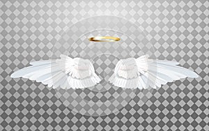 An illustration of angel wings isolated on a transparent background