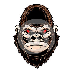 Illustration of angry gorilla head. Design element for logo, label, sign, emblem, poster.