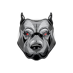 Illustration of angry pitbull head. Design element for logo, label, sign, emblem, poster.