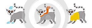 Illustration of an animal lemur. Character lemur