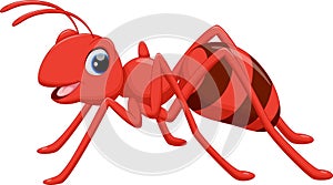 Illustration of ant cartoon on white background