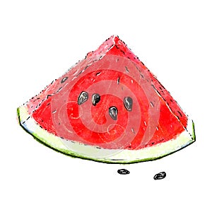 Illustration of appetizing and juicy slice of watermelon isolated on white background. Taste of summer and freshness.