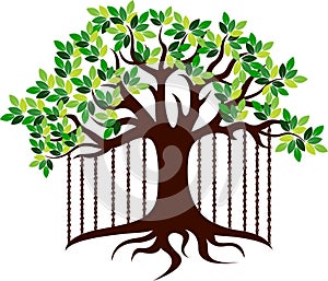 Banyan tree logo photo