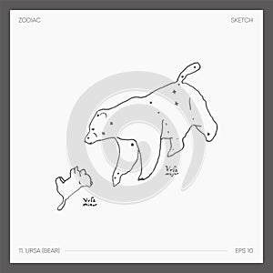 Illustration of astrological zodiac Ursa Bear