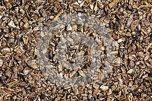 Illustration background of dry crushed elecampane root. The Latin name for the herbal mixture is Rhizomata et radices Inulae