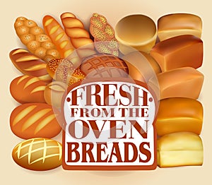 Illustration background  set of different   fresh bread fresh from the oven