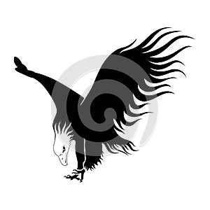 Illustration of bald eagle