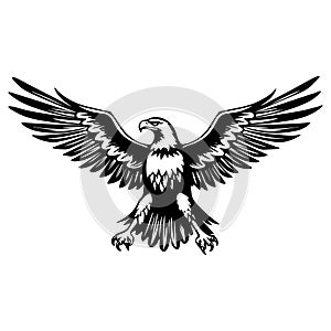 Illustration of bald eagle in drawing stencil style.