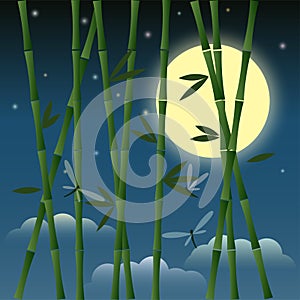 Illustration with bamboo and dragonflies on the night sky background with moon, stars and clouds for use in design