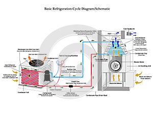 Basic Refrigeration Cycle Illustration With Process photo